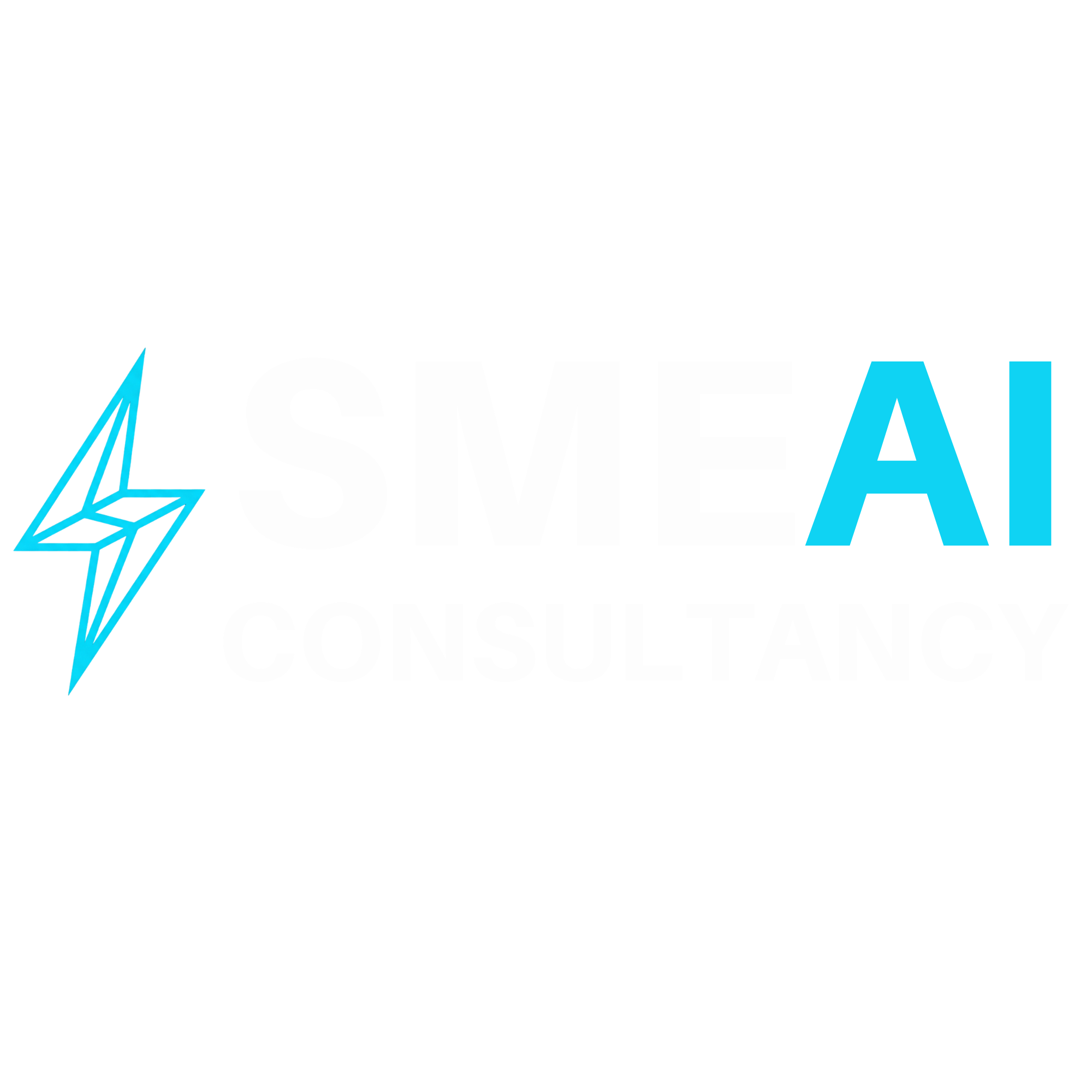 SME AI Consultancy